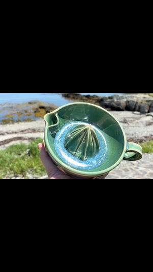 Citrus juicer