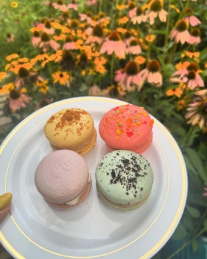 Macarons