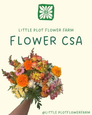 Summer flower CSA share