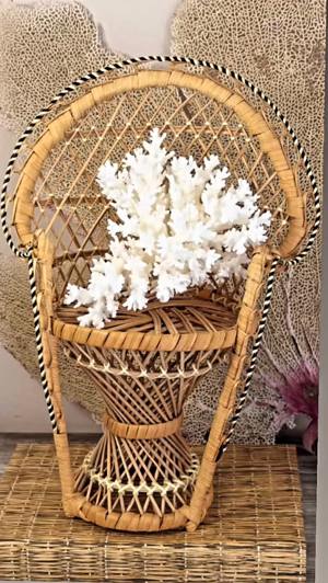 Pair of 1970s wicker rattan mini peacock/fan chairs (plant stands)