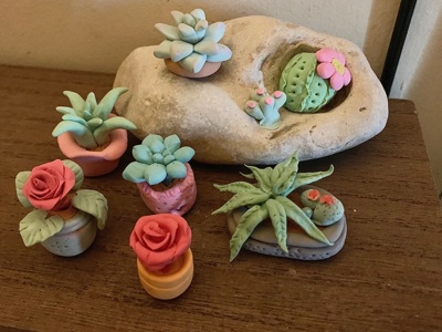 Handmade Succulent Garden Set
