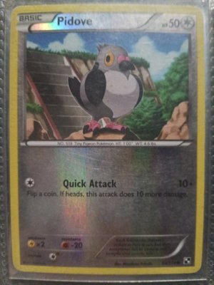 Pidove Pokémon Card
