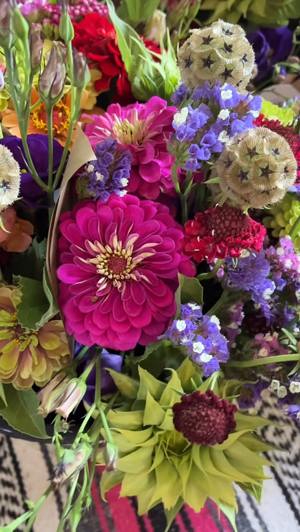 Zinnia bunch