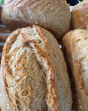 Plain sourdough loaf