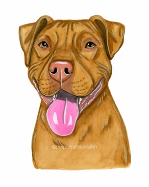 Custom 5x7" watercolor pet portrait