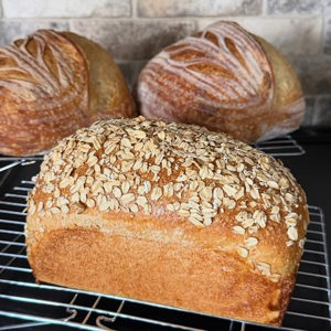 Maple Oat Sourdough Sandwich Loaf