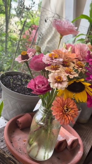 Zinnias de Bramasole Flower Farm, Tampa, FL
