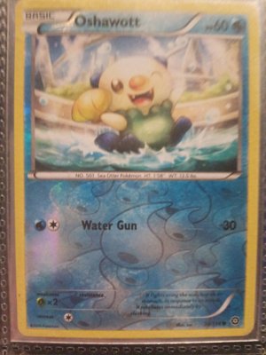Oshawott Pokemon Card